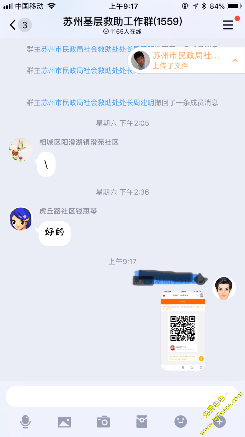 请审核【审核无效】